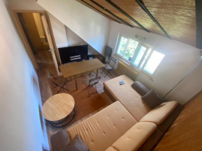 Ilir-home